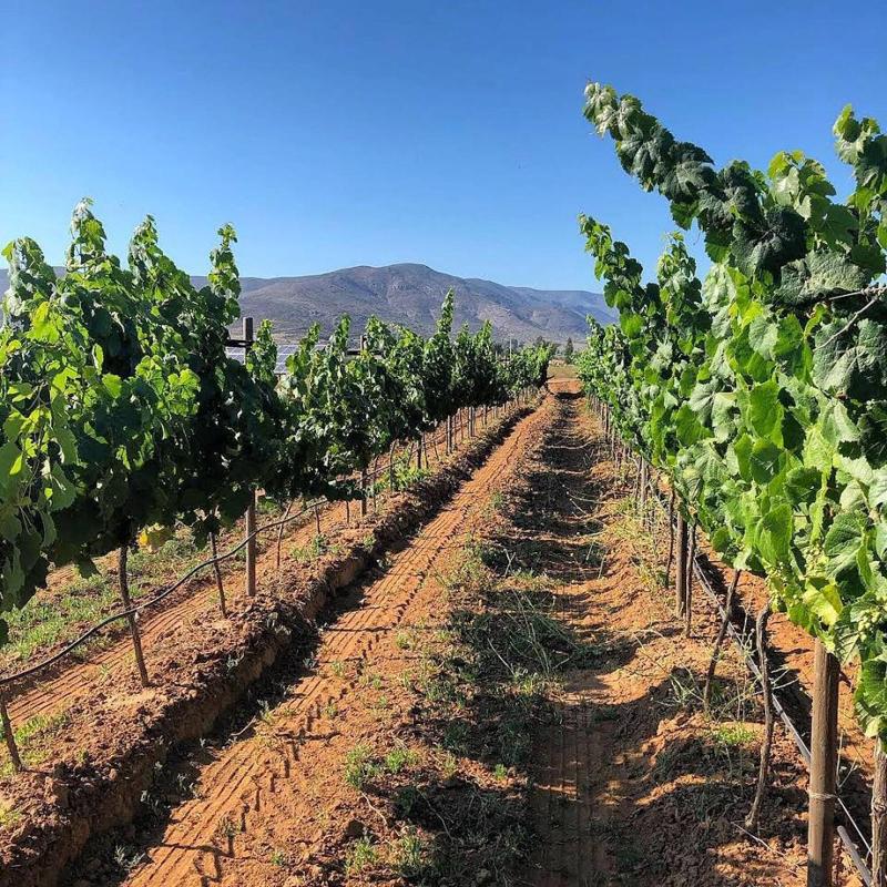 Casa Urbina Wine Resort image