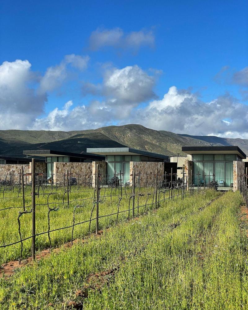 Casa Urbina Wine Resort image