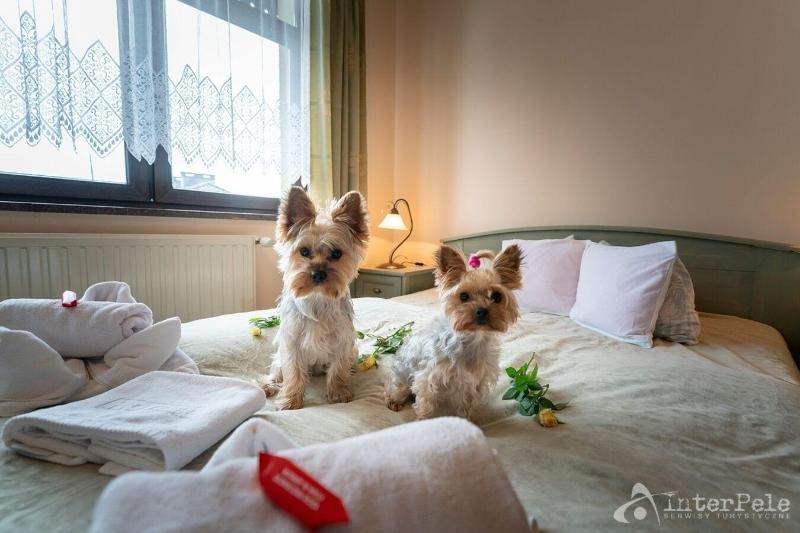 Willa Sloneczna Ra Za image
