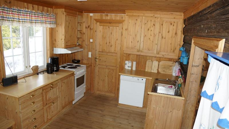 Skeikampen Appartement image