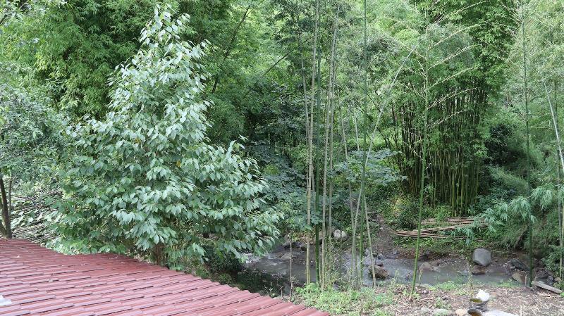 Qing Dynasty House