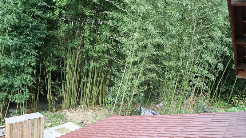 Qing Dynasty House