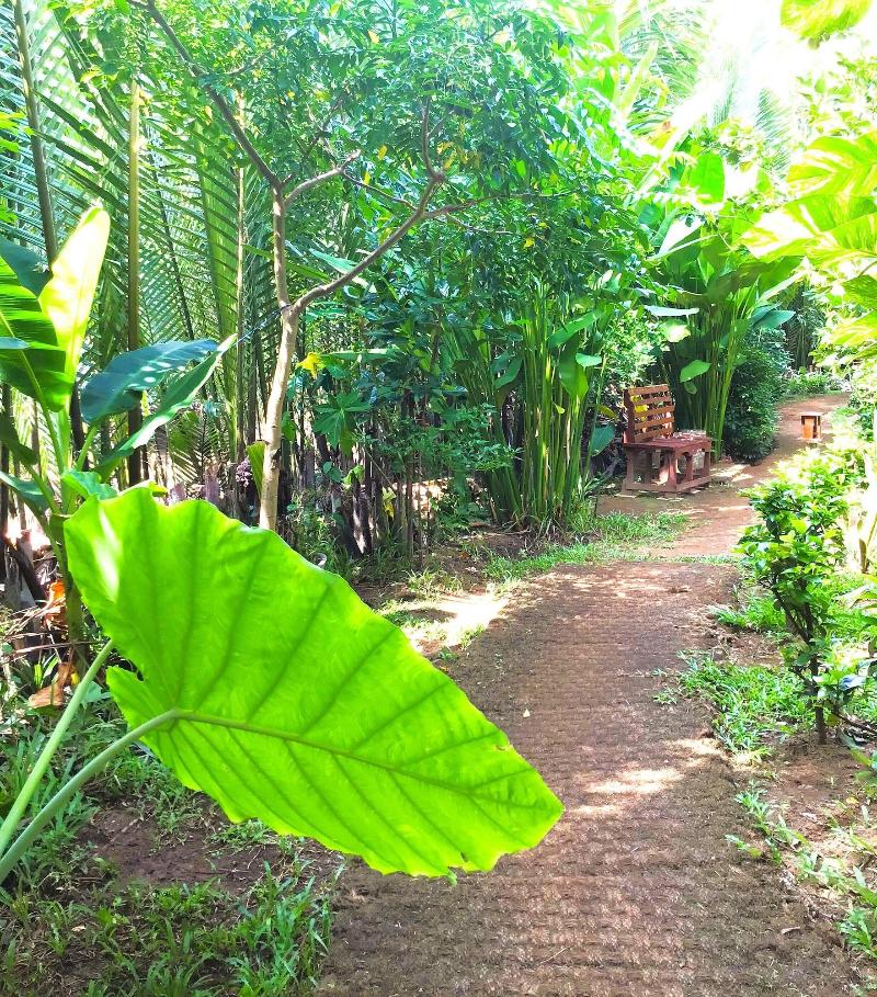 Ben Tre Farm Stay