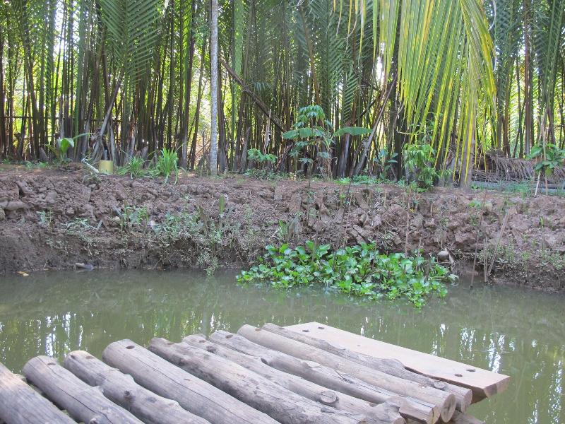 Ben Tre Farm Stay