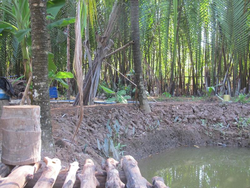 Ben Tre Farm Stay