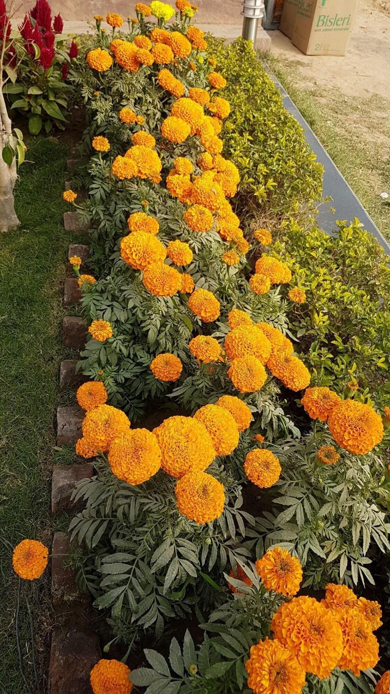 Panthashala