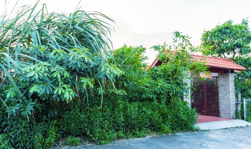 Bai Dinh Eco Homestay image