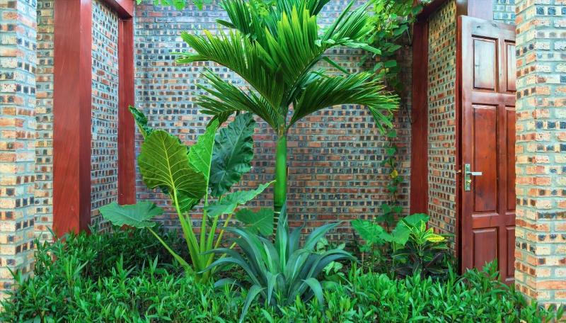 Bai Dinh Eco Homestay image