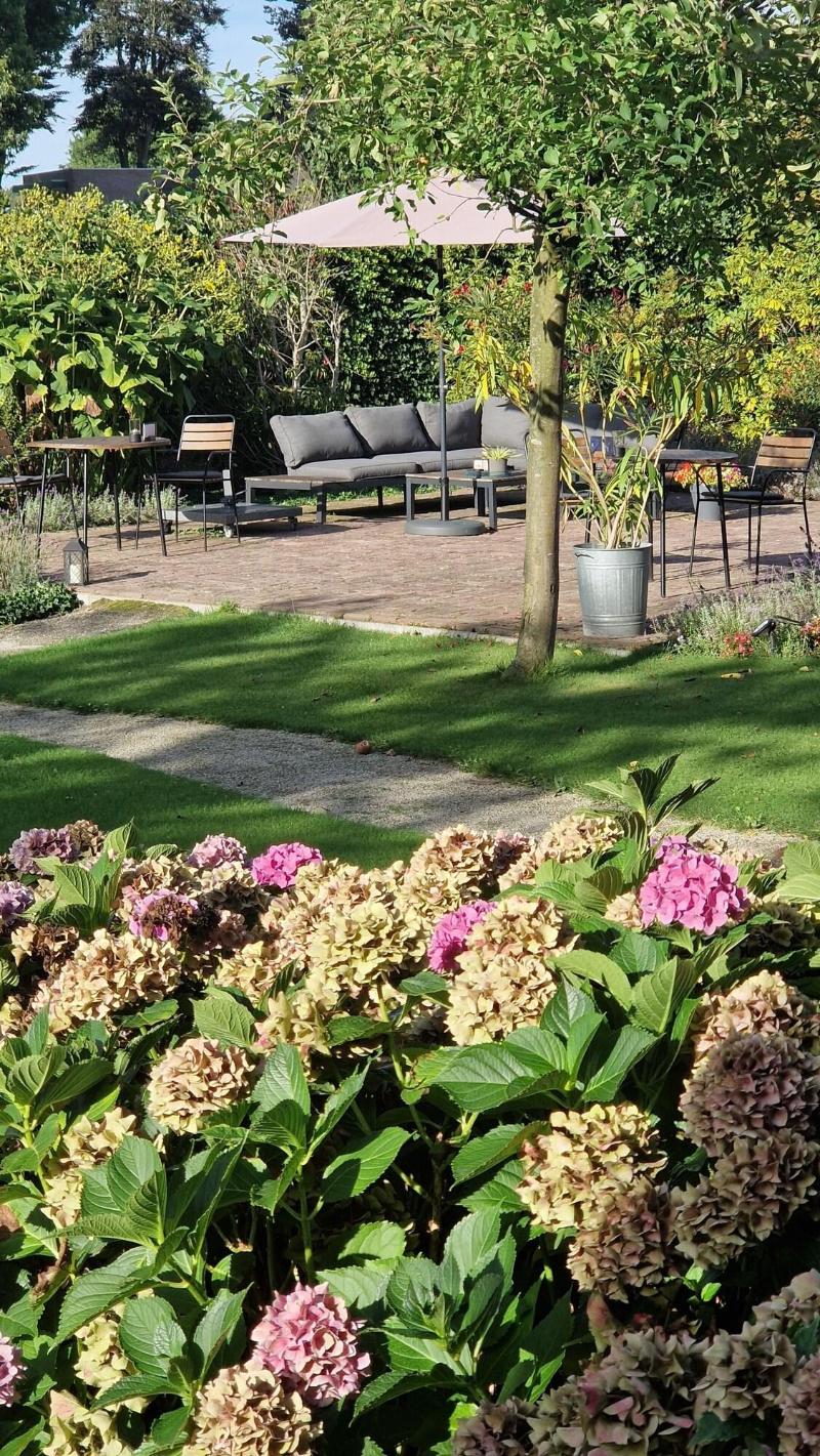 Boutique Hotel Lytel Blue