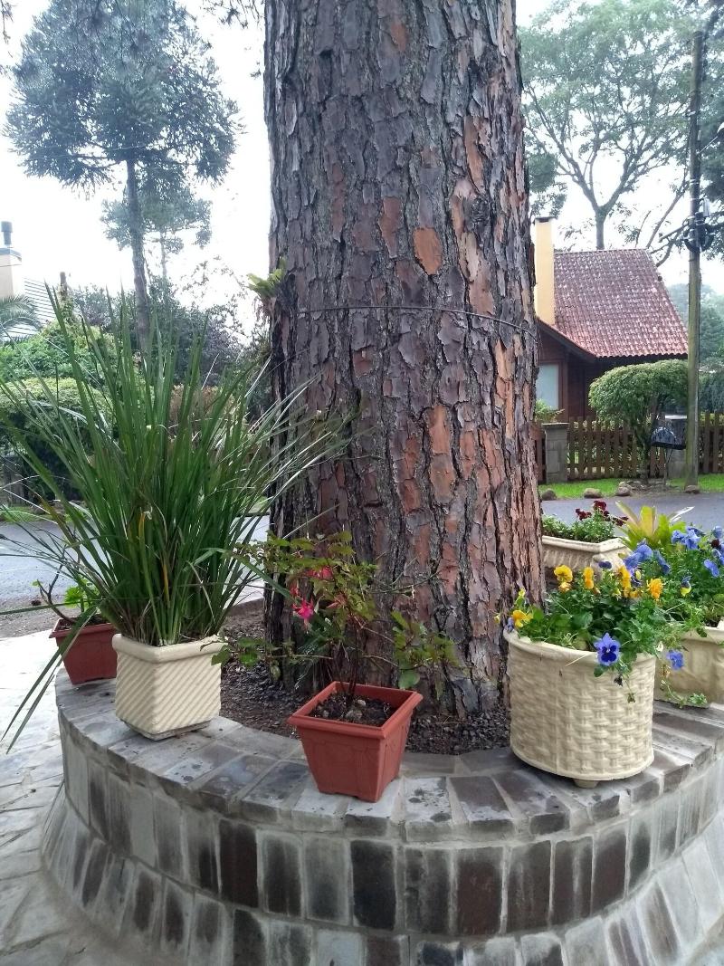 Pousada Vida E Natureza