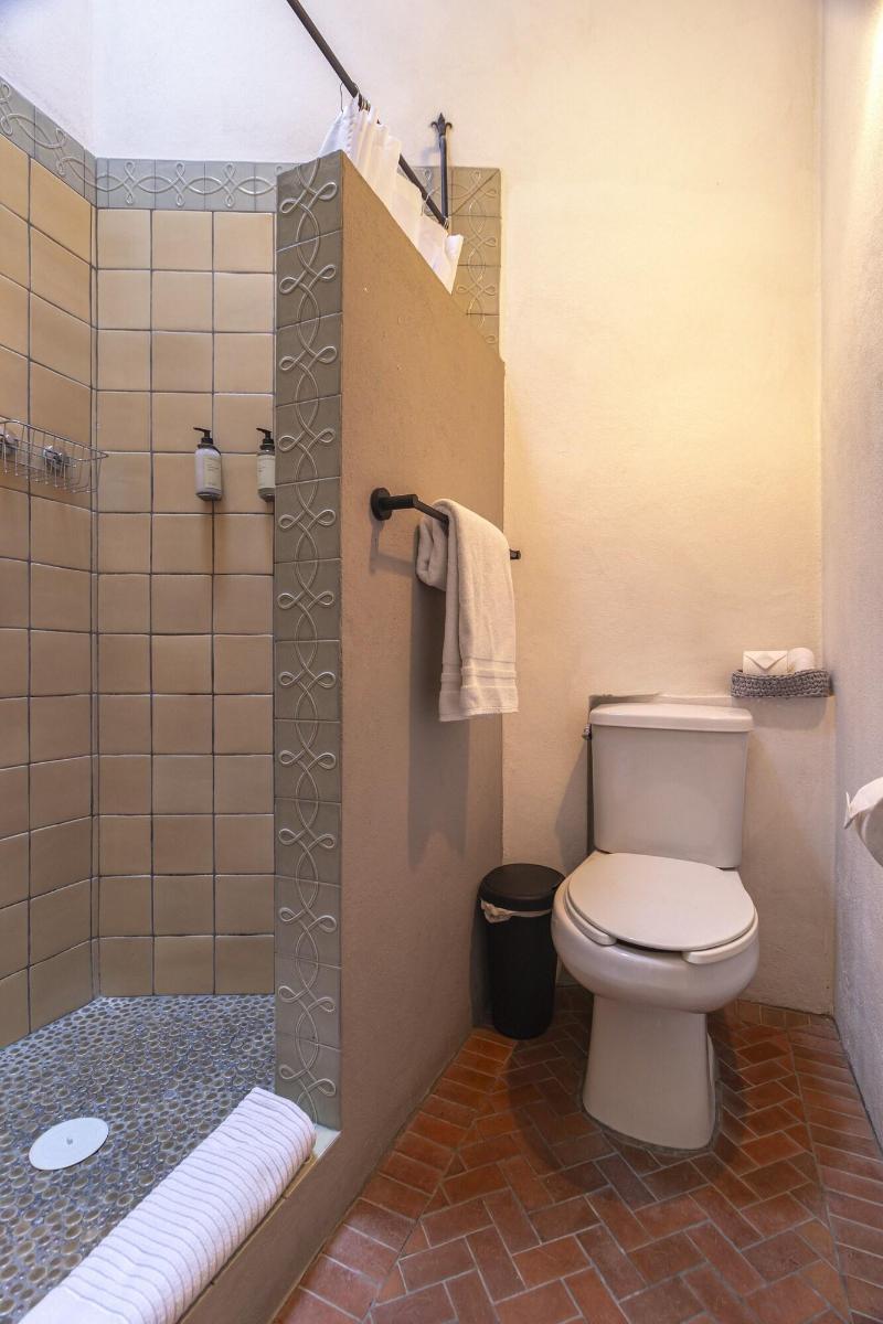 Casa Goyri San Miguel De Allende image