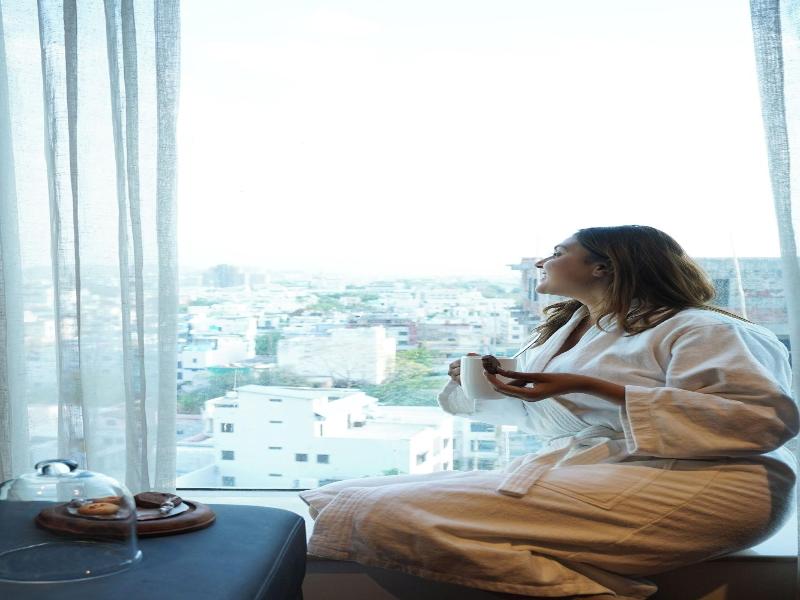 Pride Hotel Udaipur image