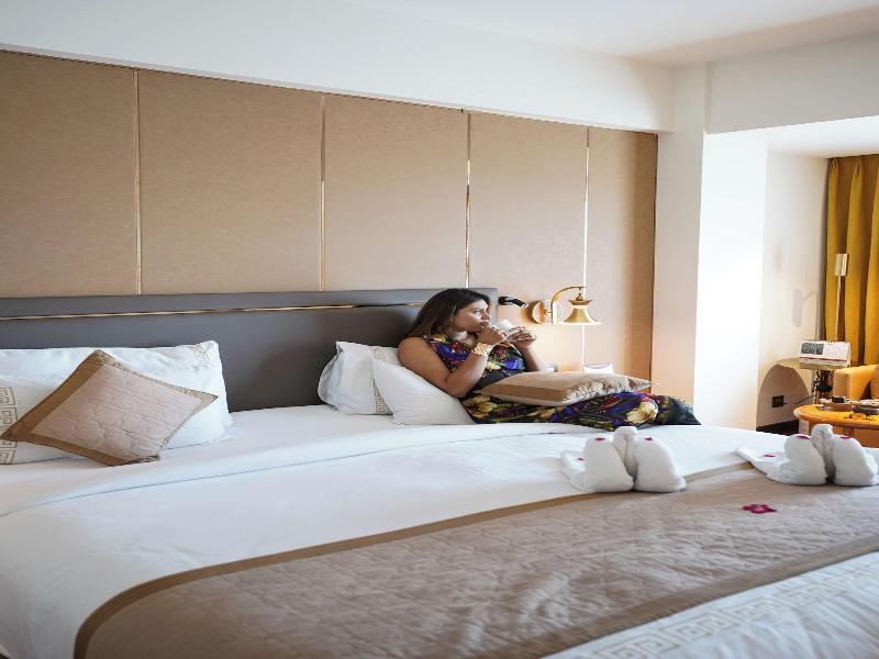 Pride Hotel Udaipur image