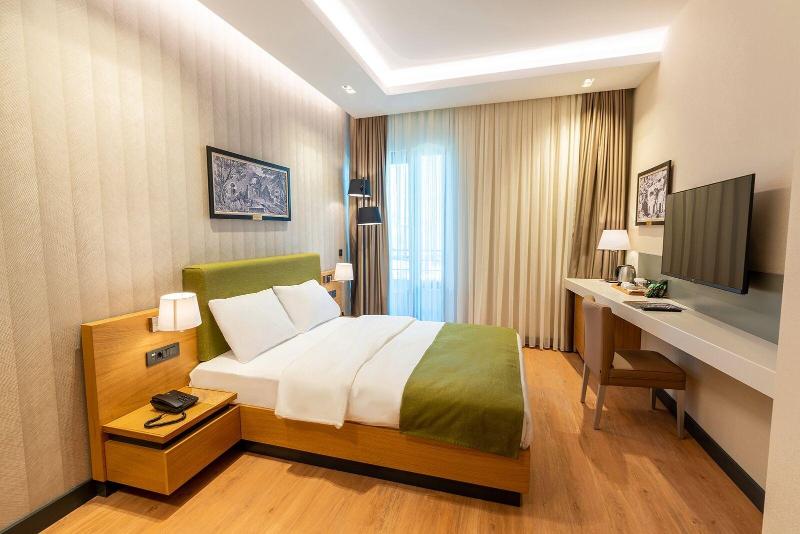 Artes Hotel image 9