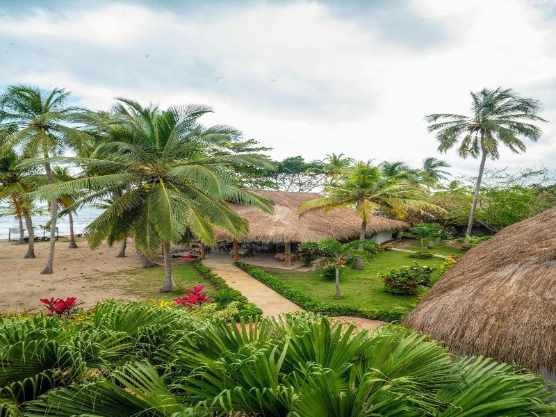 Coconuco Beach Palomino image