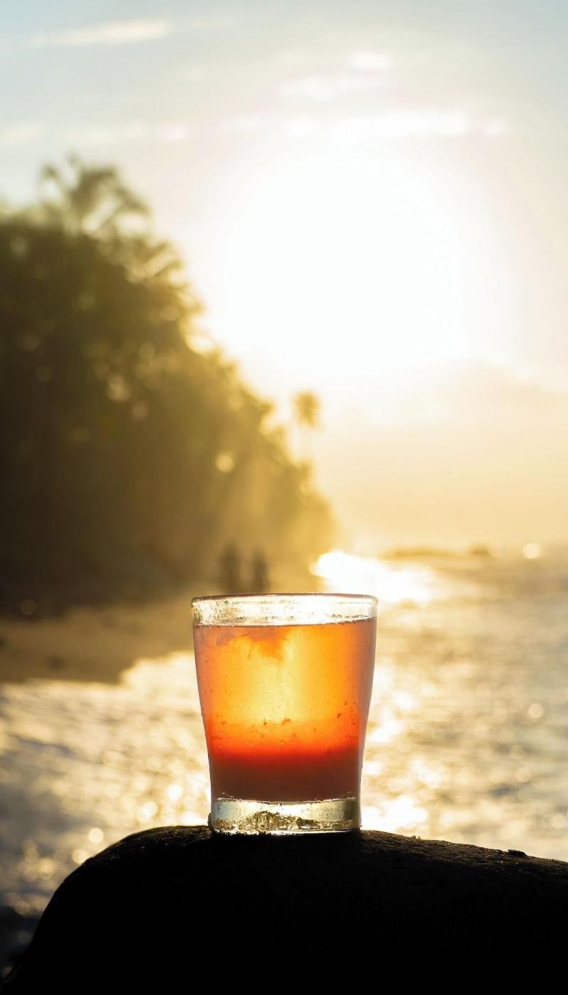 Coconuco Beach Palomino image