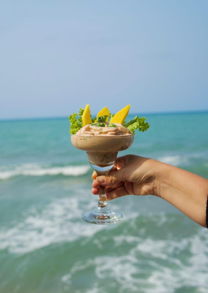 Coconuco Beach Palomino image