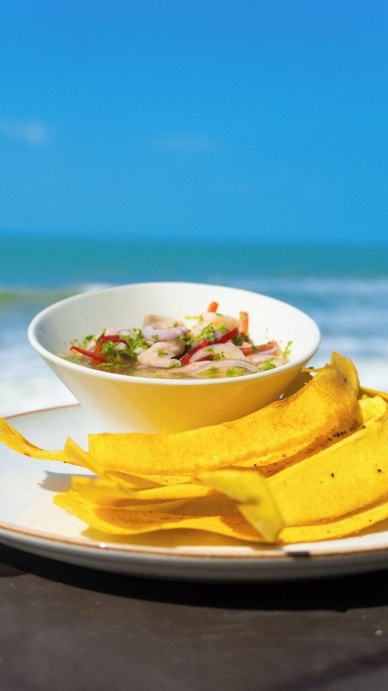 Coconuco Beach Palomino image