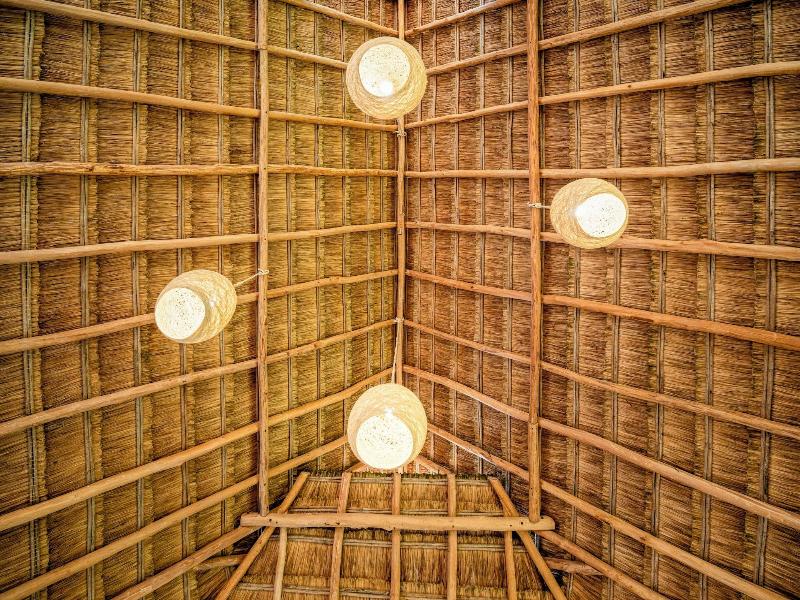 Coconuco Beach Palomino image