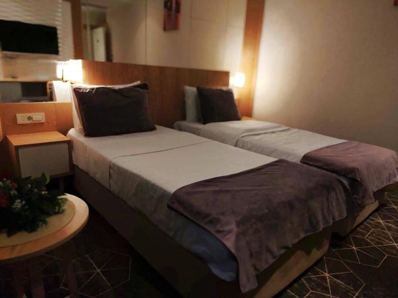 Regal Inn Badamdar image