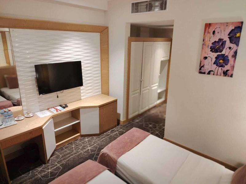 Regal Inn Badamdar image