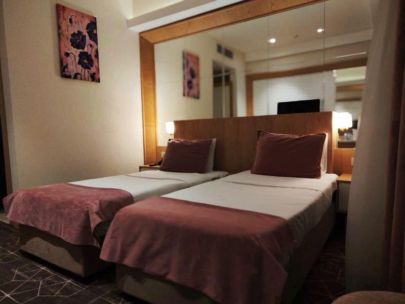 Regal Inn Badamdar image