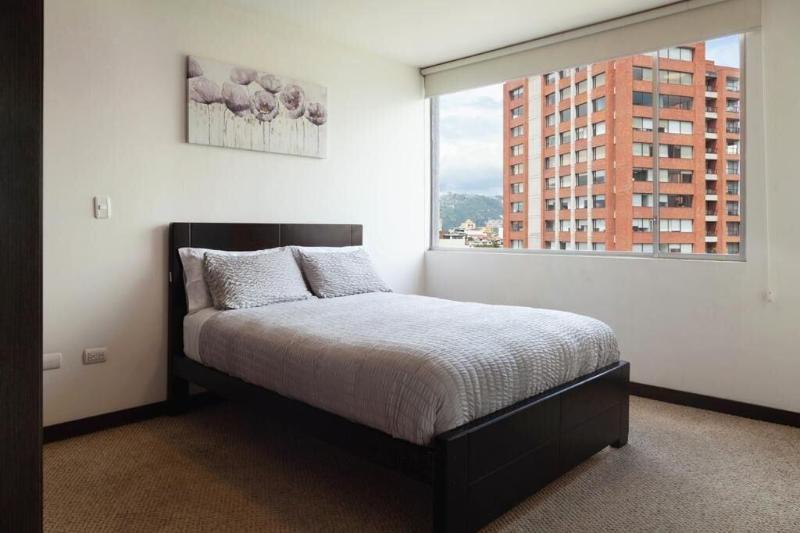 Olympus Apartments image