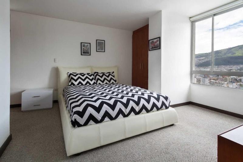 Olympus Apartments image