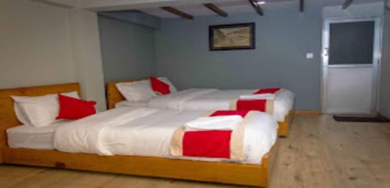 Merostay 119 Inn Sangrahalaya image