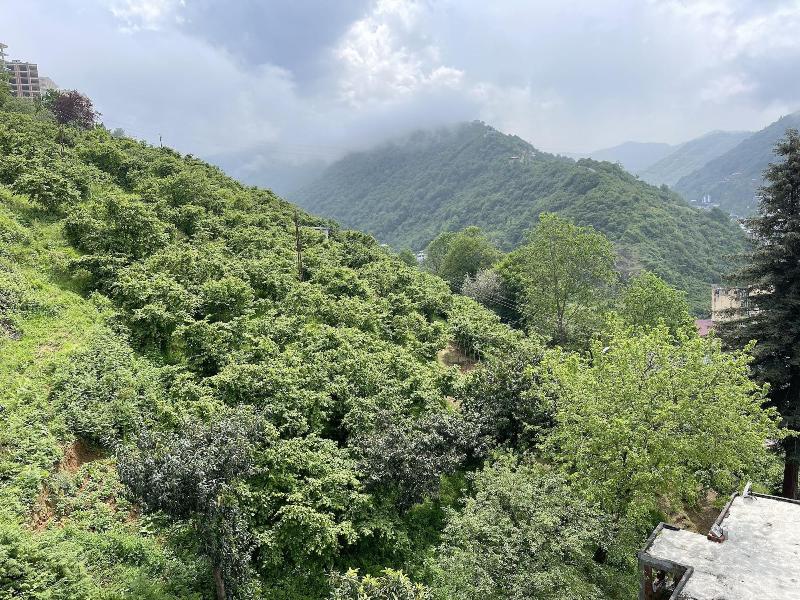 Belya Hotel image