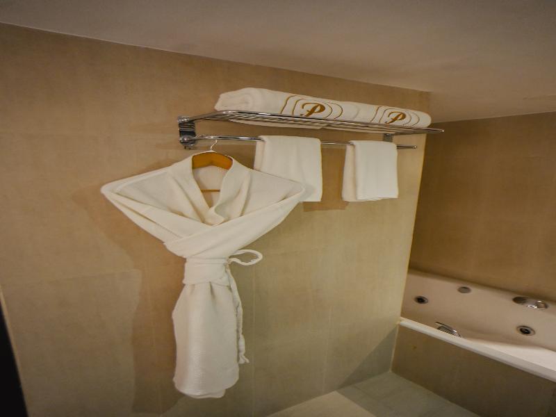 Hotel Peninsula Grand image