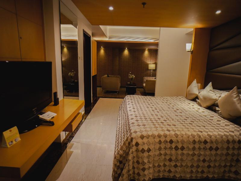 Hotel Peninsula Grand image