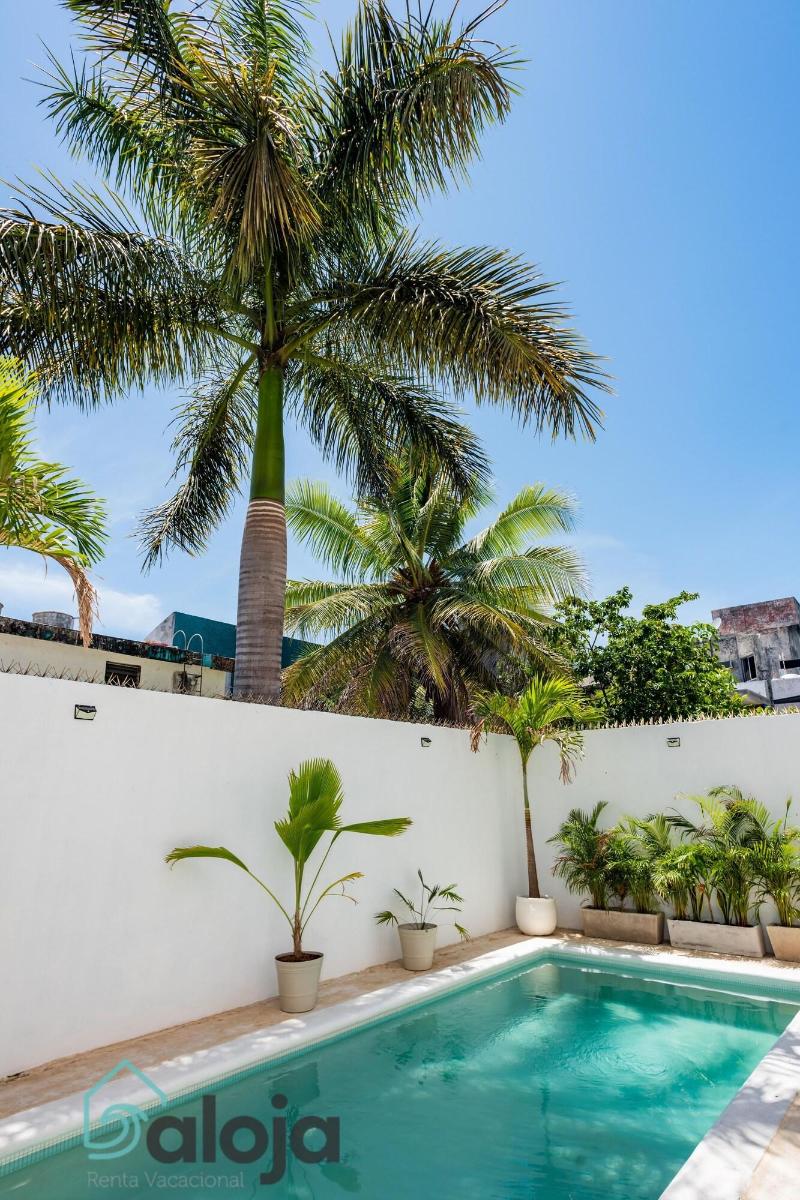 Vica Guest House image