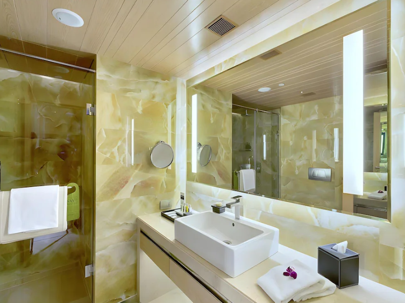 Sahara Star image