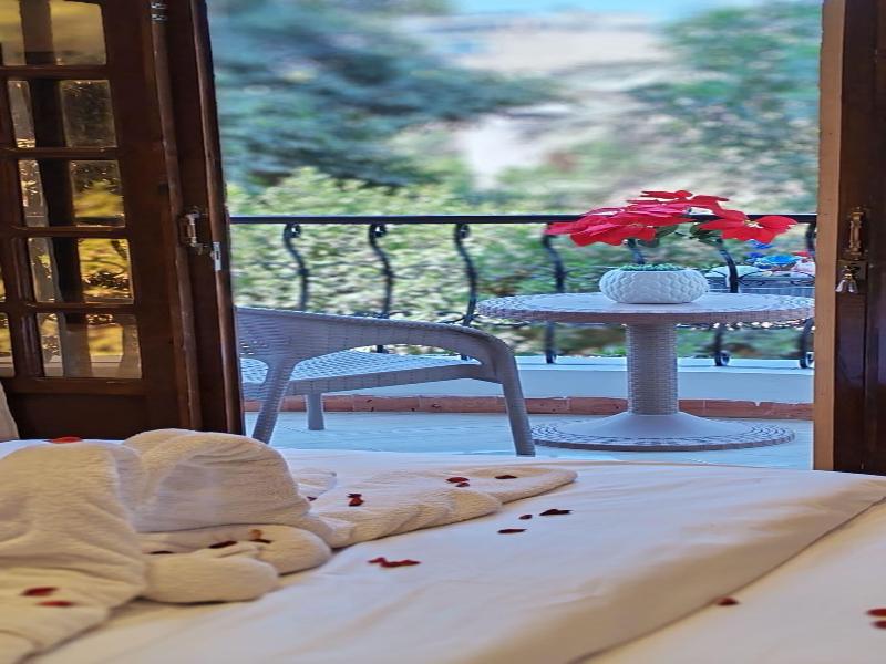 Zeina Pyramids Inn image