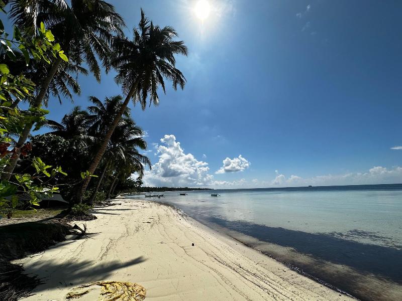 Casa Basa Siargao image