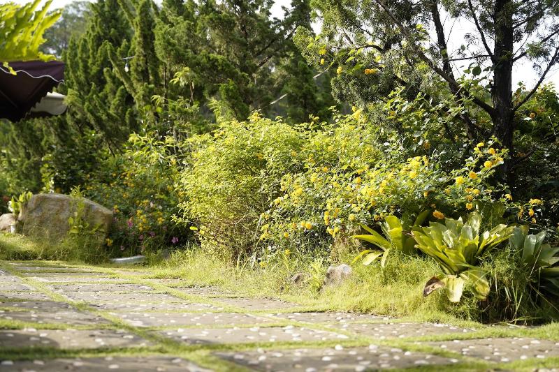 Green Eco Hotel Dalat image