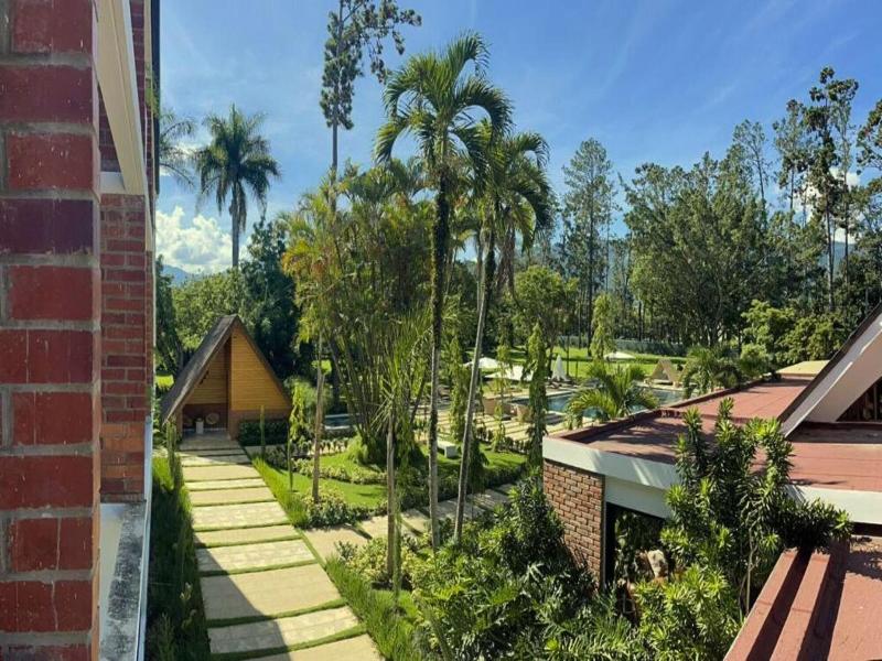 Hotel Pinar Dorado By Gran Jimenoa image