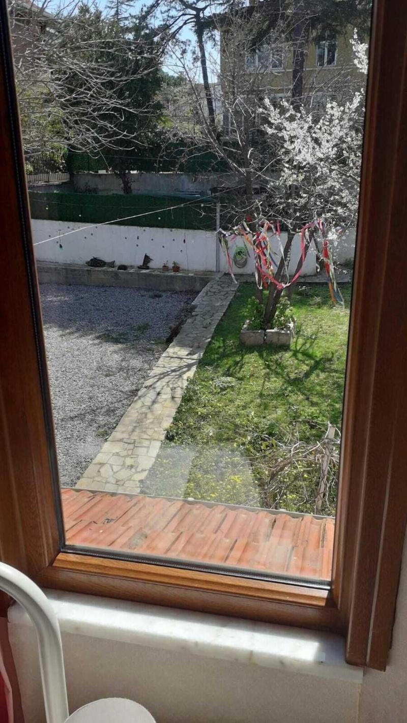 Elisa Butik Otel image