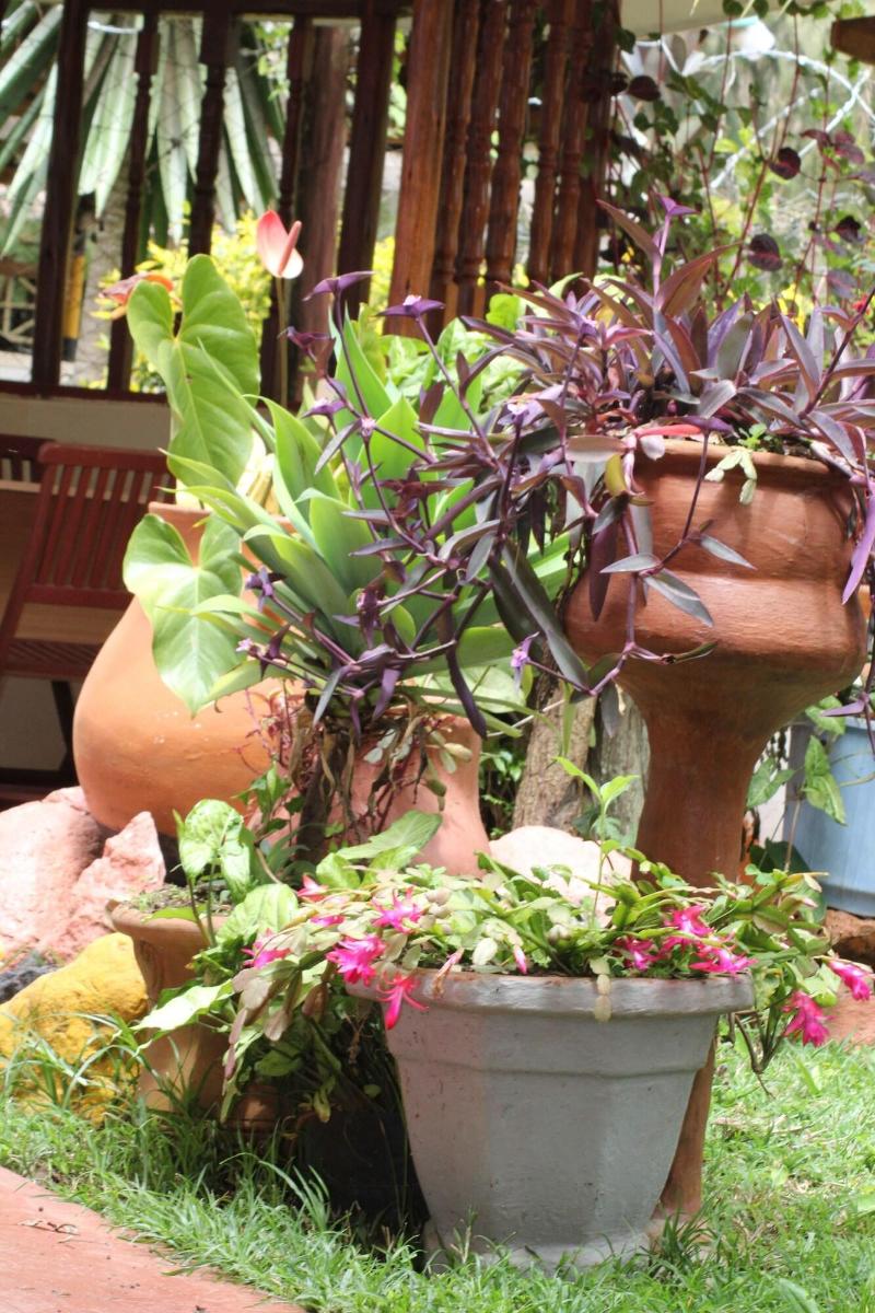 Tranquil Homestays image