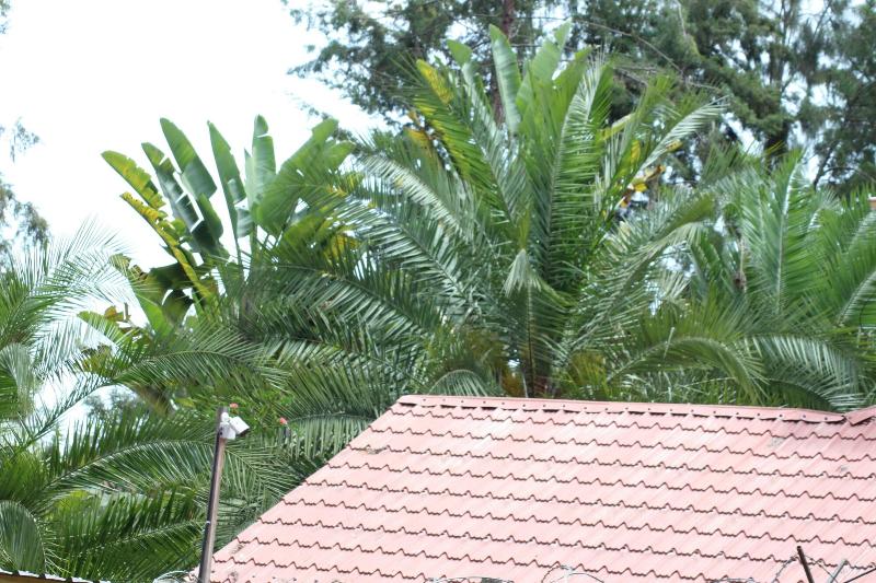Tranquil Homestays image