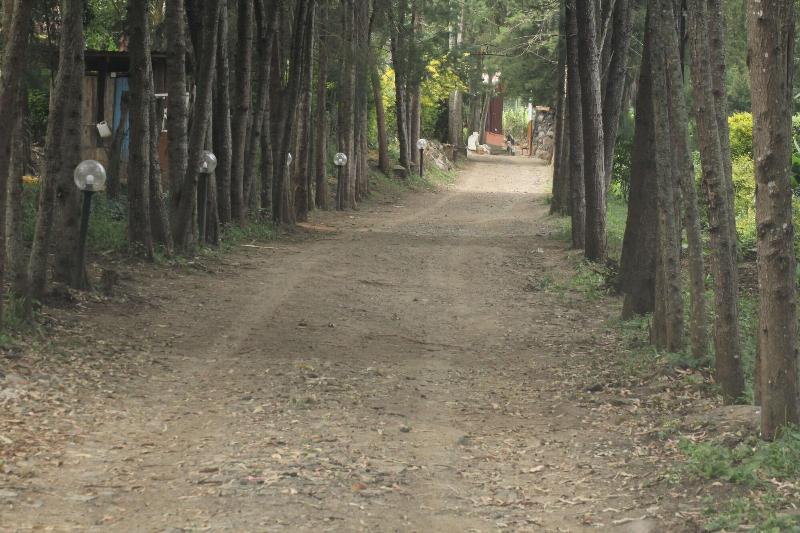 Tranquil Homestays image