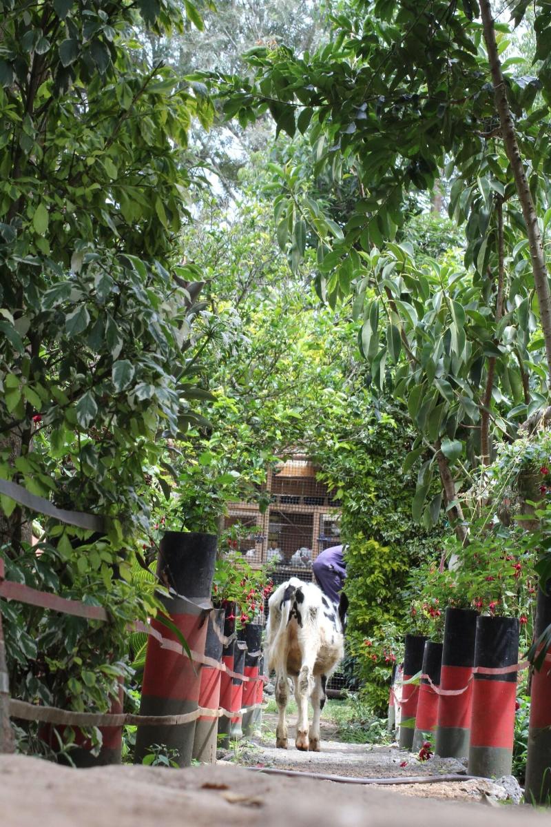 Tranquil Homestays image