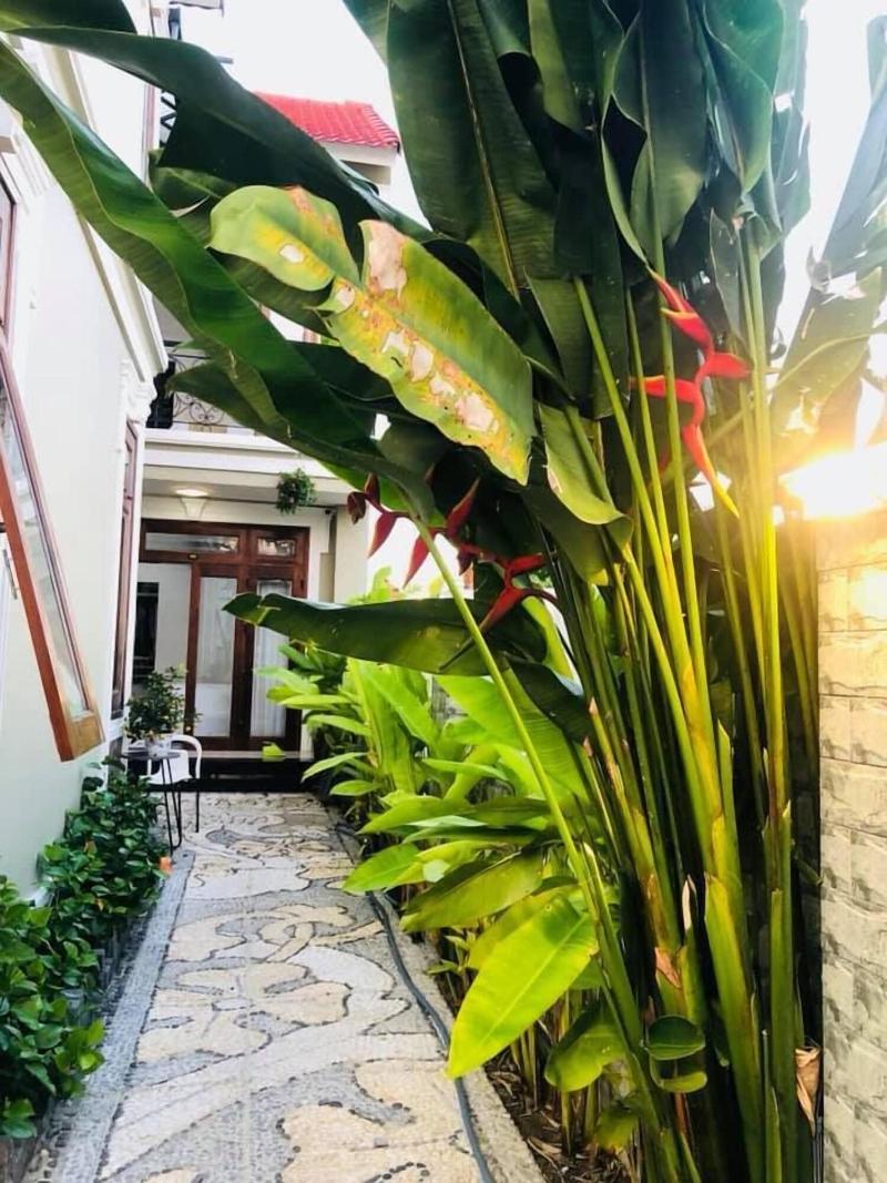 Hoi An Lake Shore Homestay image