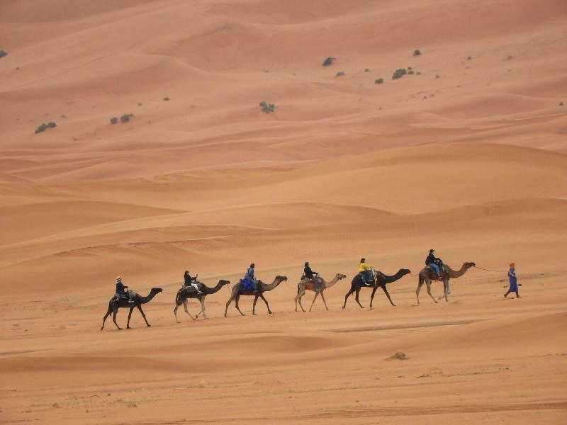 Luxury Saf Saf Camp image
