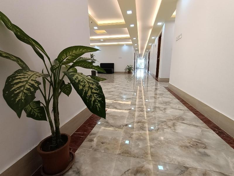 Hotel D Palace image