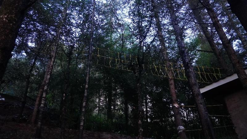 Oakwood Hamlet Resort Shoghi Shimla image