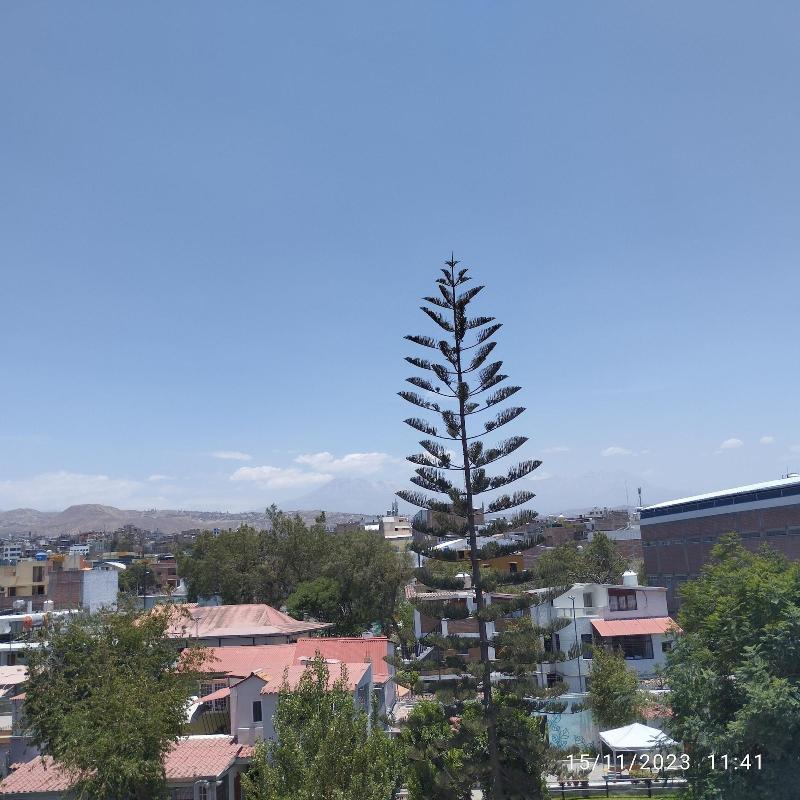 El Monarca Aqp image