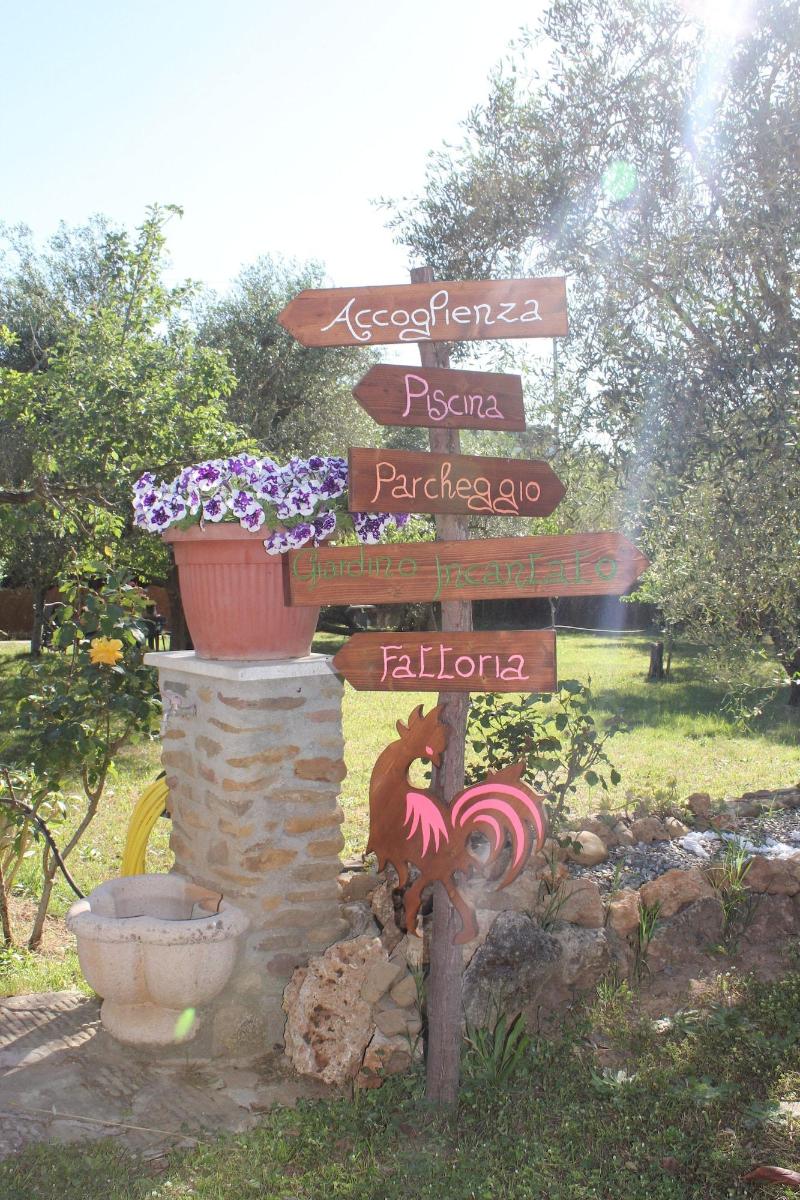 Buen Camino Ssa image