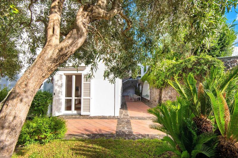 Il Lauro Luxury Villa Ischia image